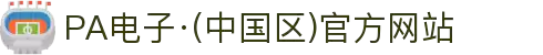 PA电子·(中国区)官方网站