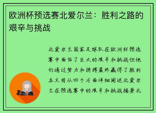 欧洲杯预选赛北爱尔兰：胜利之路的艰辛与挑战